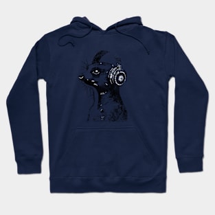 Grunge Meerkat Wearing Headphones  'Evolution?' Hoodie